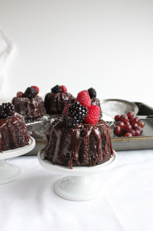 Chocolate Mini Bundt Cakes Chocolate Mini Bundt Cakes