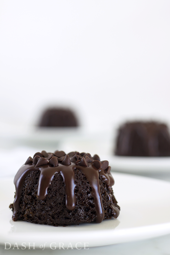 Mini-Chocolate Bundt Cake Recipe Mini-Chocolate Bundt Cake Recipe