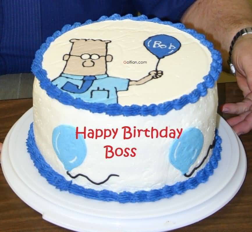 6 cake bosses cakes