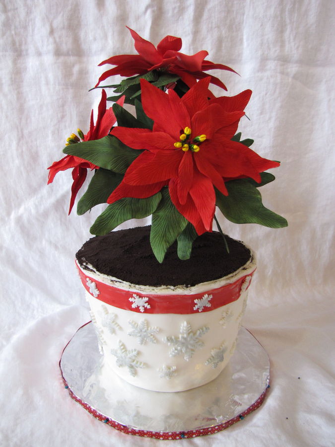 Christmas Cake with Poinsettia Christmas Cake with Poinsettia