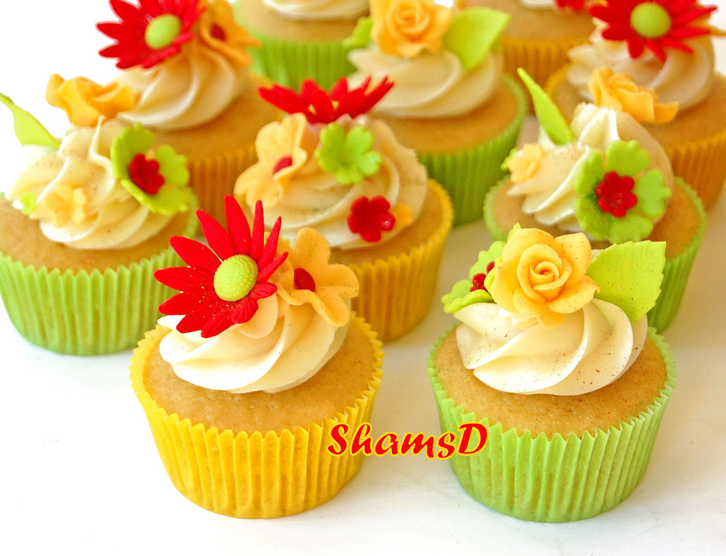 Lime Green and Orange Cupcakes Lime Green and Orange Cupcakes