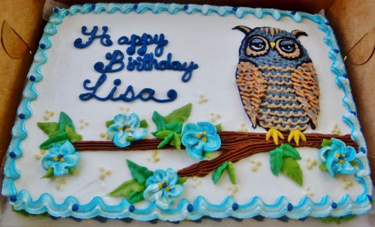 Owl Sheet Cake Owl Sheet Cake