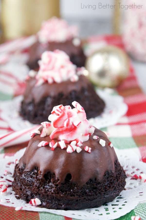 Gluten Free Chocolate Mini Bundt Cakes Gluten Free Chocolate Mini Bundt Cakes