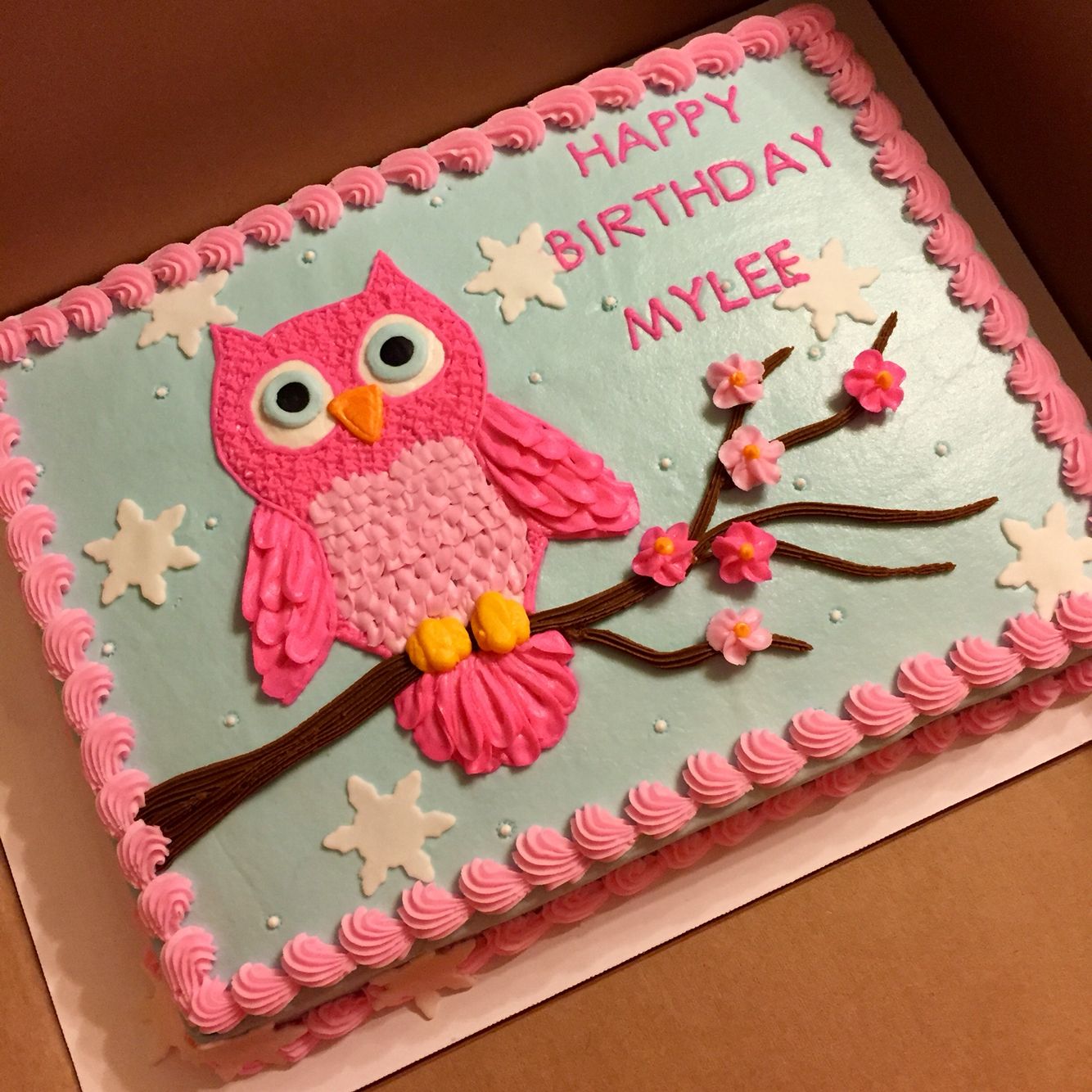 Owl Birthday Cake Ideas Owl Birthday Cake Ideas