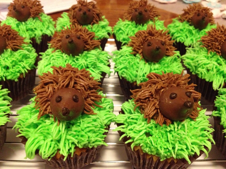 Hedgehog Cupcakes