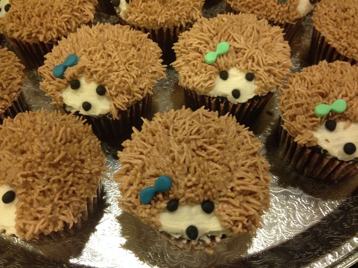 Hedgehog Cupcakes