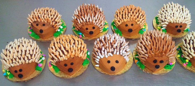 Hedgehog Cupcakes