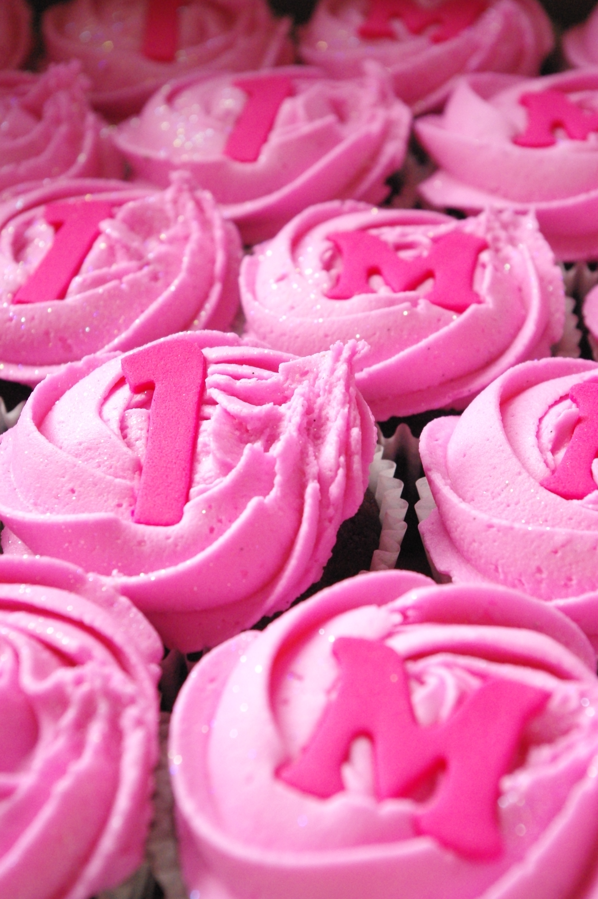 Pink Cupcake with Icing