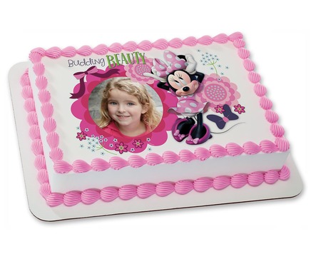 Price Chopper Cakes Minnie Mouse Price Chopper Cakes Minnie Mouse