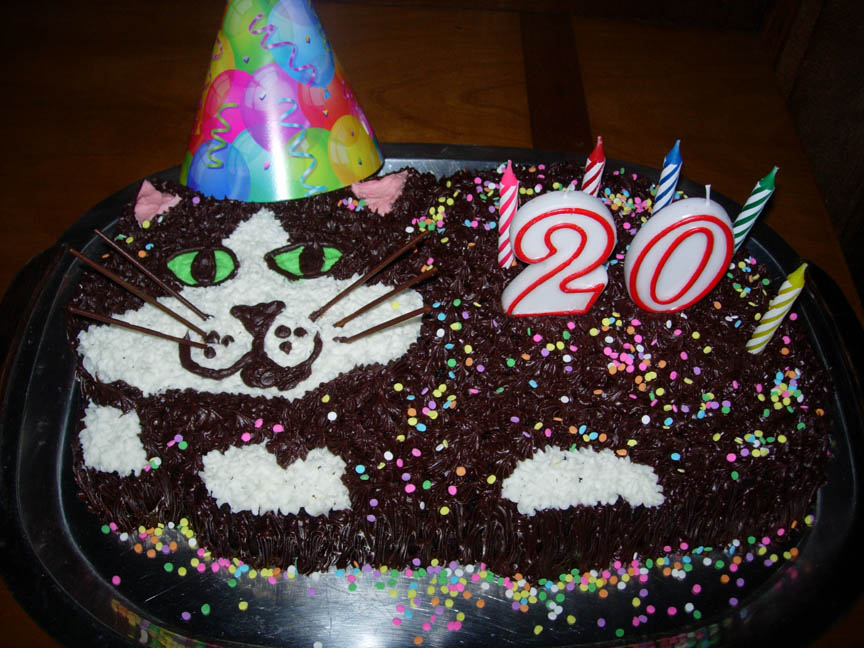 Happy 20th Birthday Cake Happy 20th Birthday Cake