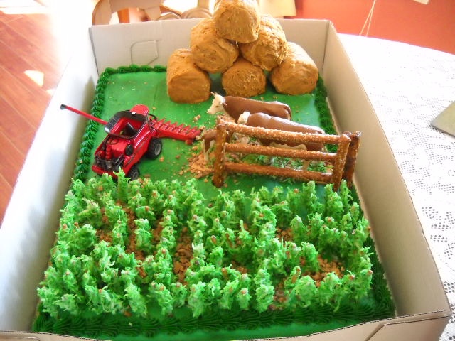 Corn Maze Birthday Cake