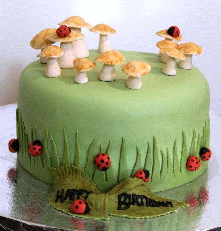 10 Mushroom Fondant Cupcakes Photo Cake Decorated With