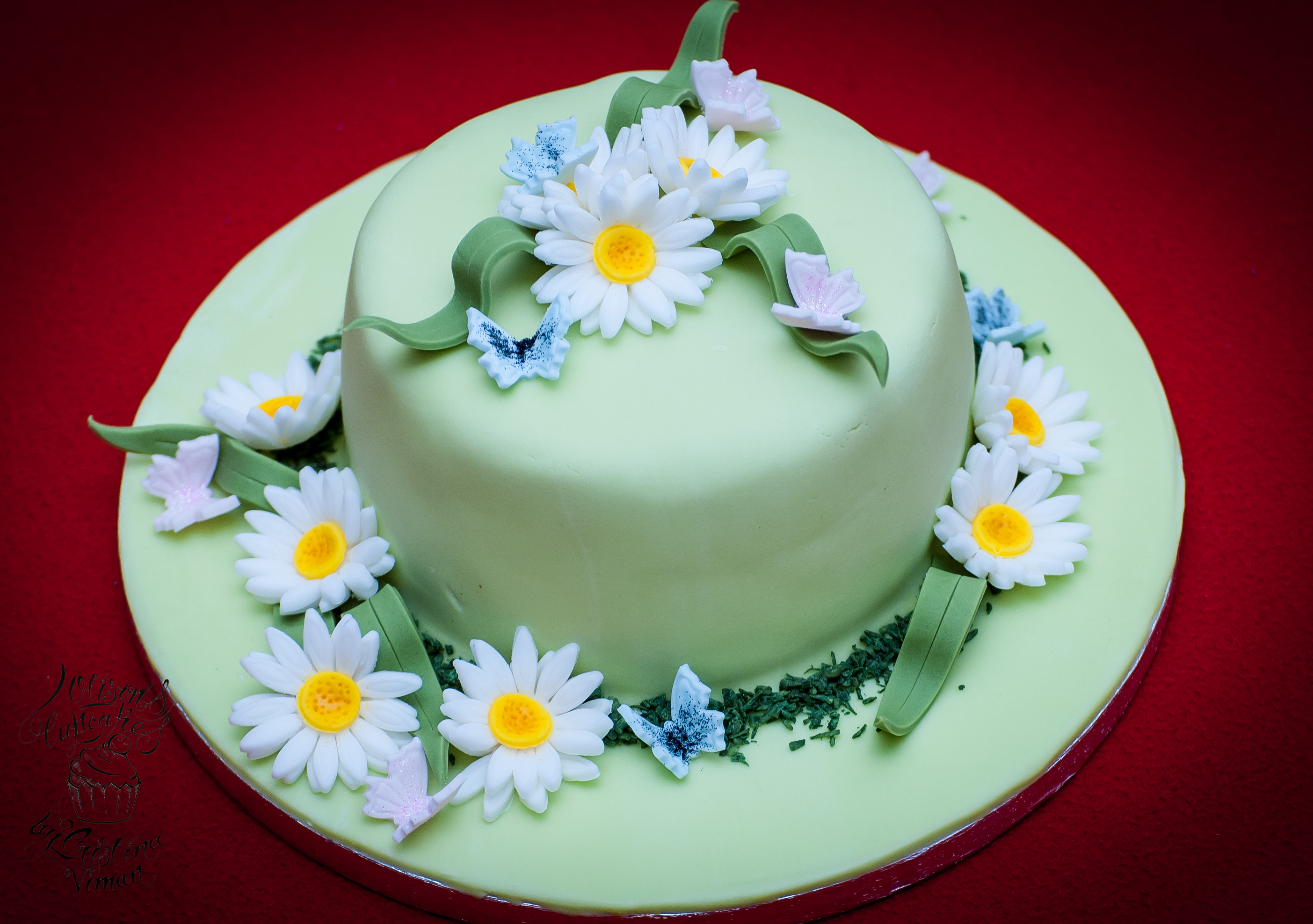 Happy Birthday Cake with Daisies.