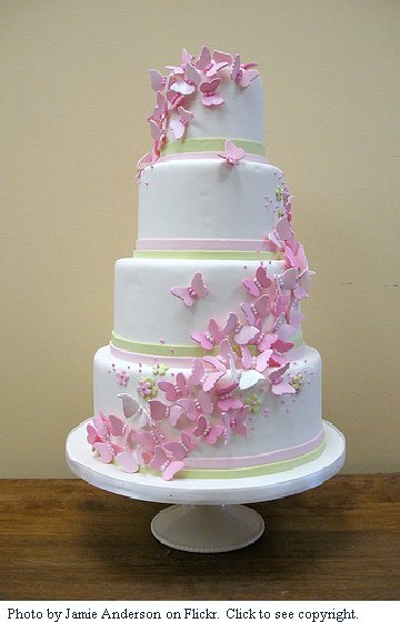 8 Flowers And Butterfly Design On Cakes Photo Butterfly Cake