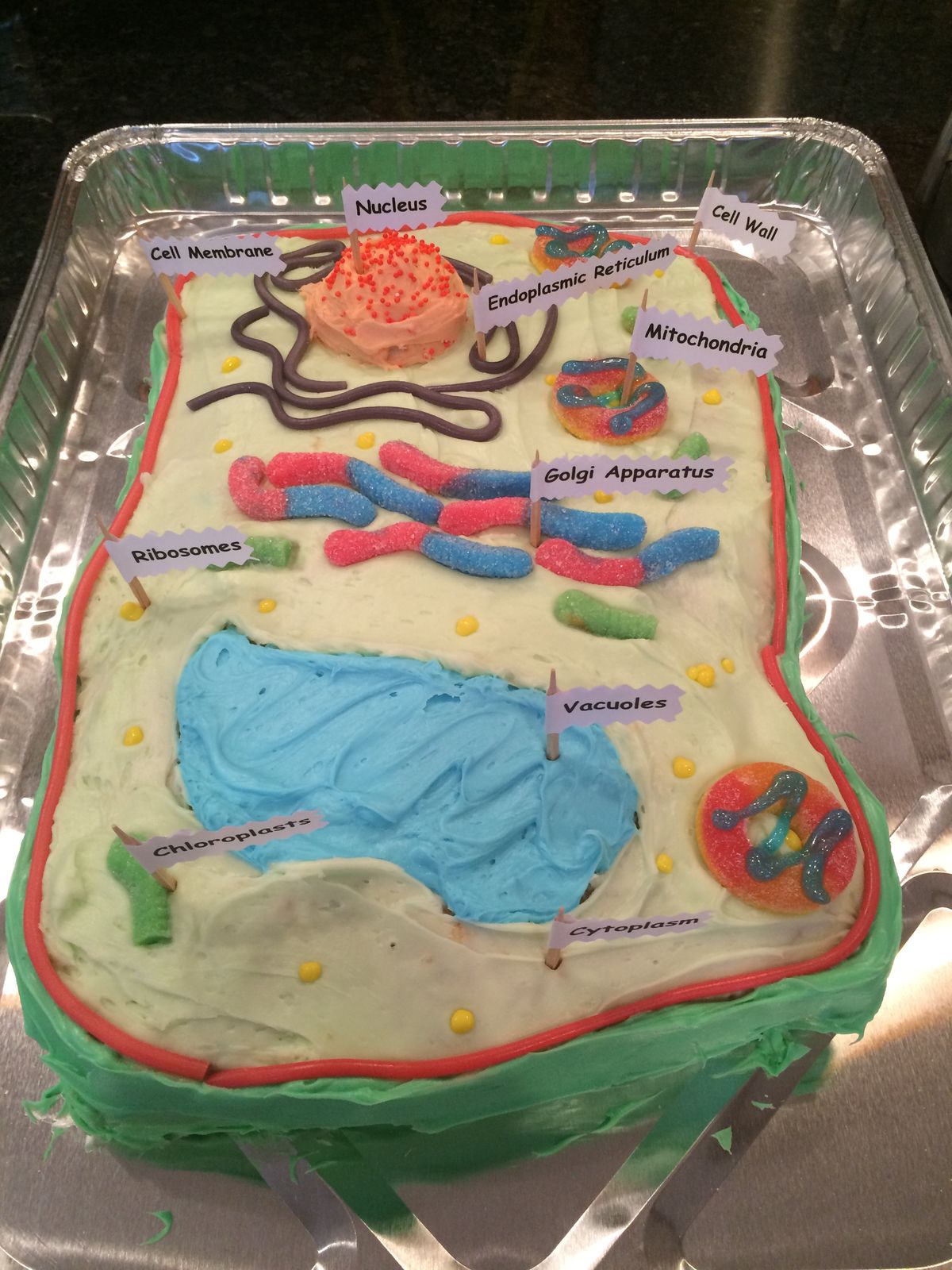 Animal Plant Cell Cake Project