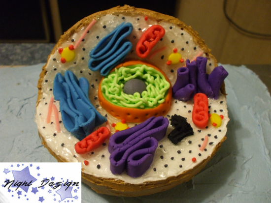 Model of Animal Cell Project Ideas