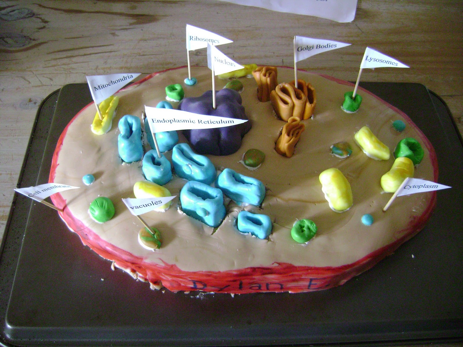 Plant and Animal Cell Edible Projects