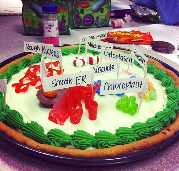 Plant Cell Cookie Cake