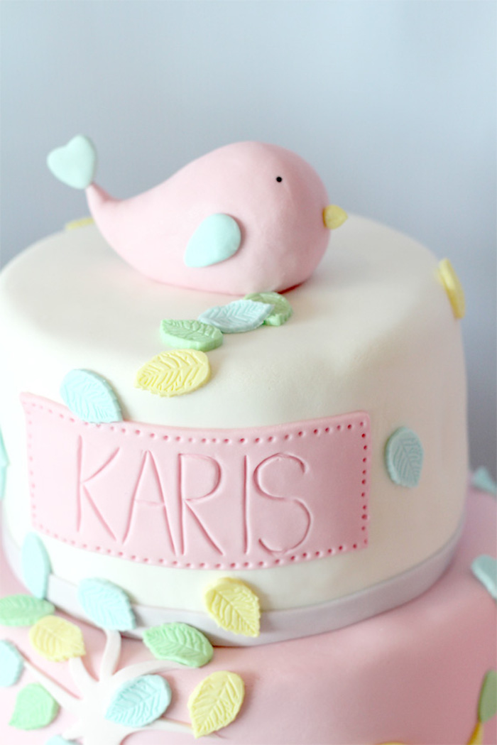 Bird Birthday Cake Ideas Bird Birthday Cake Ideas