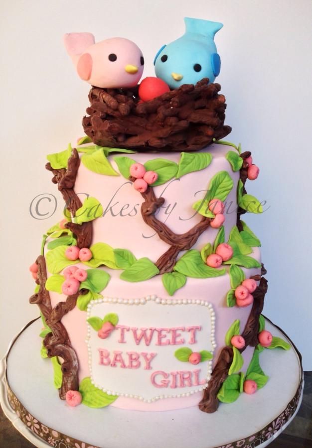 Girl Baby Shower Bird Cake Girl Baby Shower Bird Cake