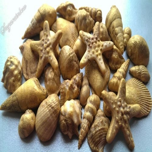 Edible Seashell Cake Decorations Edible Seashell Cake Decorations
