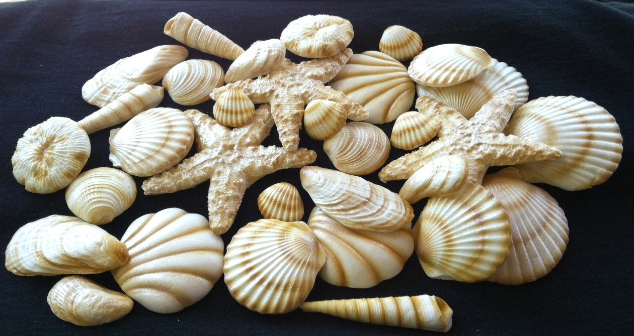 12 Seashell For Cakes Edible Sheets Photo Edible Gum Paste Cake