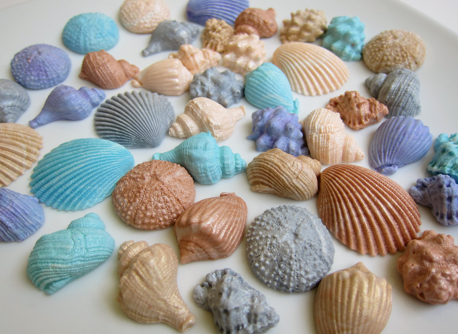 12 Seashell For Cakes Edible Sheets Photo Edible Gum Paste Cake