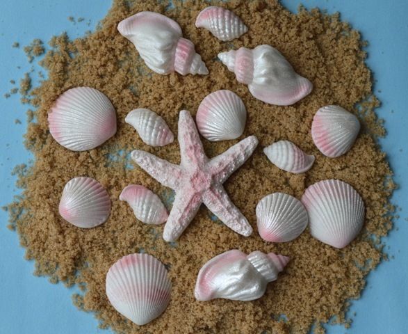Sea Shell Wedding Cake Edible Decorations Sea Shell Wedding Cake Edible Decorations