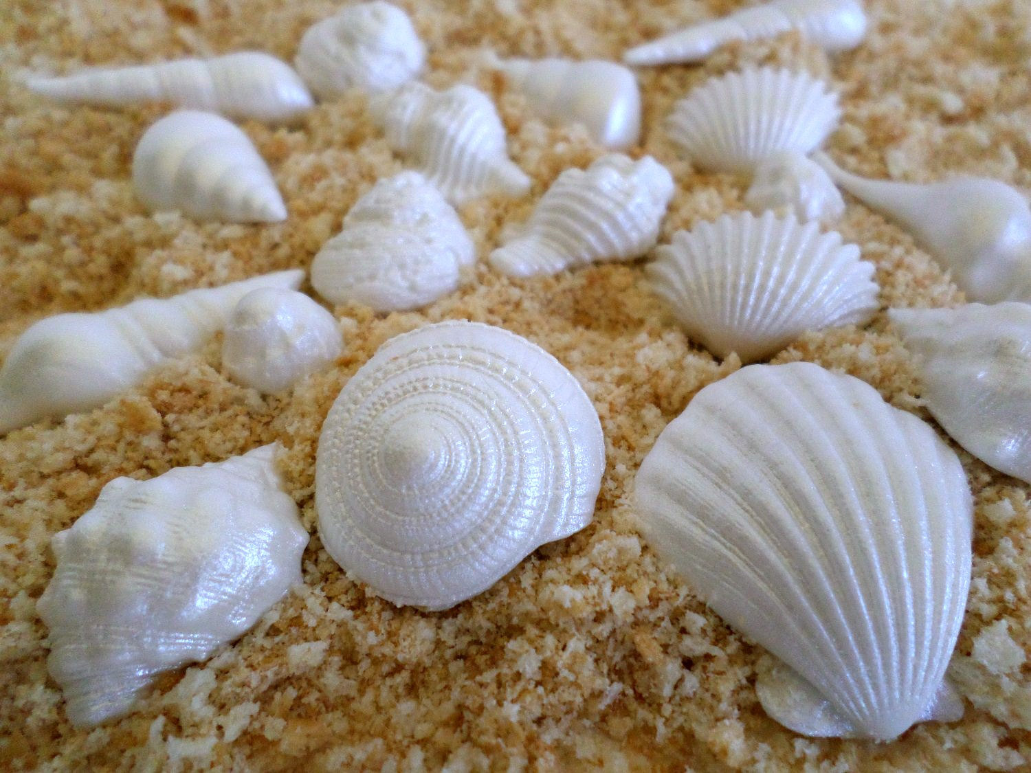 Sea Shell Wedding Cake Edible Decorations Sea Shell Wedding Cake Edible Decorations
