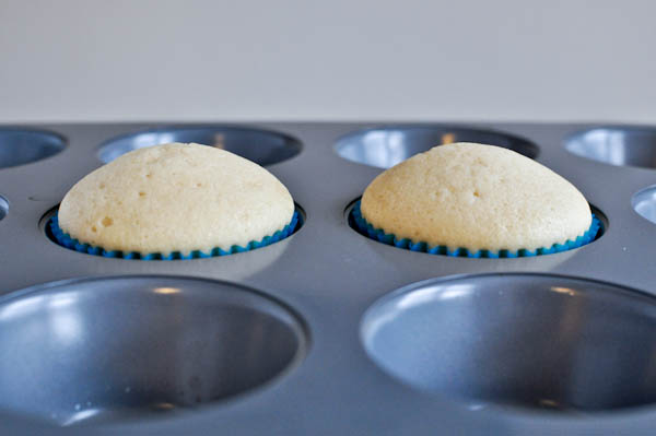 Cupcake Recipes From Scratch