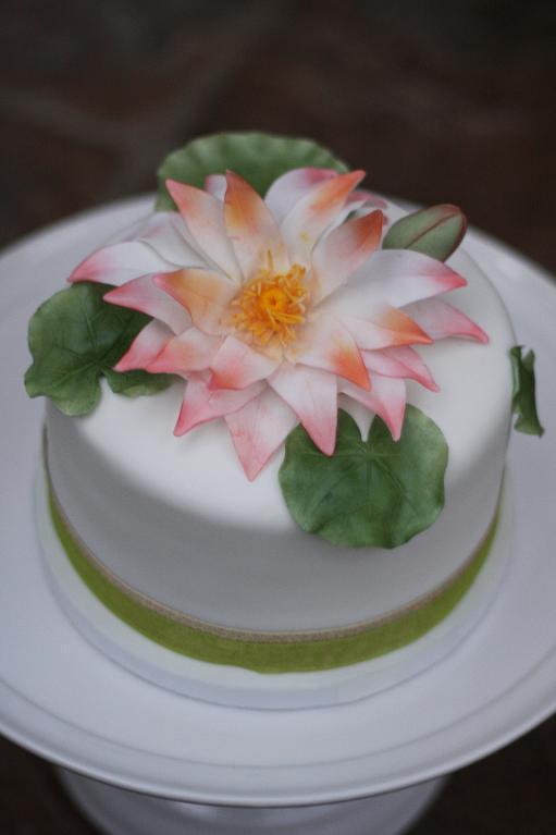 Water Lily Cake Water Lily Cake