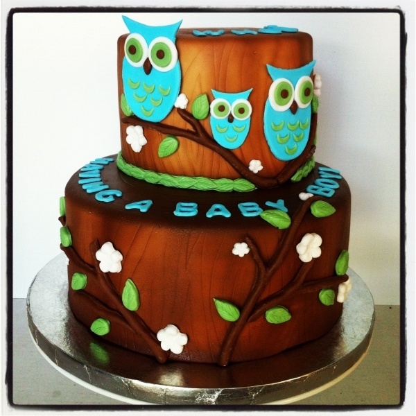 Owl Baby Shower Cake Owl Baby Shower Cake