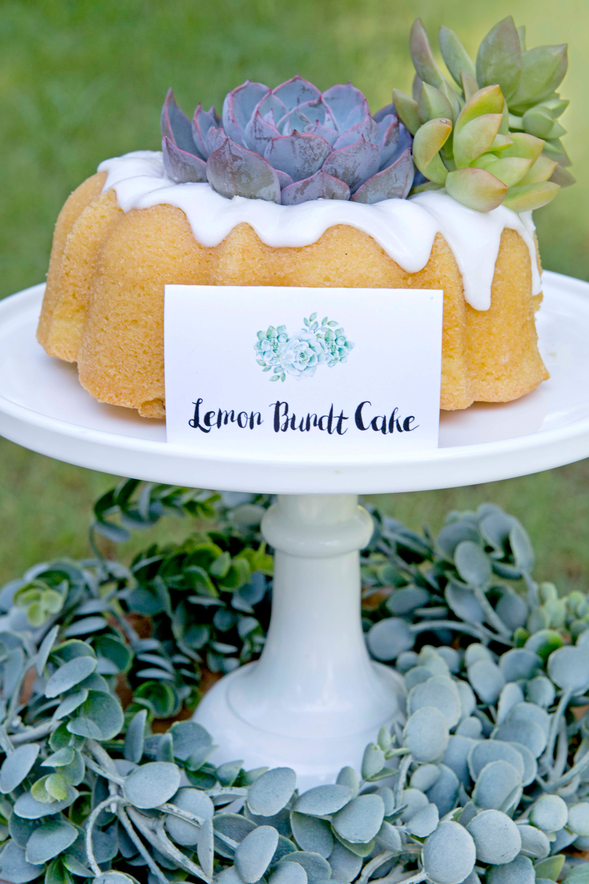 Succulent Bridal Shower Cake Succulent Bridal Shower Cake