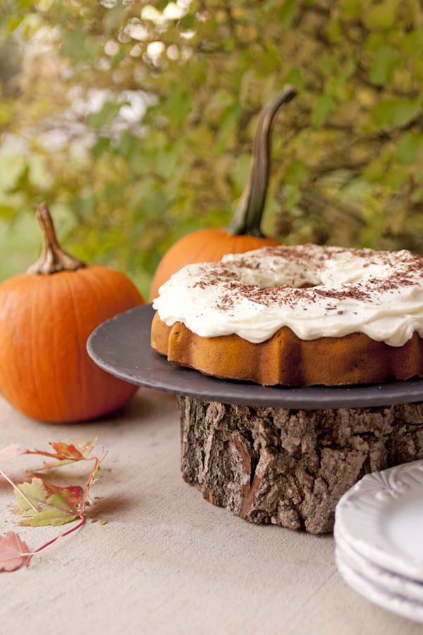 Apple Pumpkin Bundt Cake Recipe Apple Pumpkin Bundt Cake Recipe