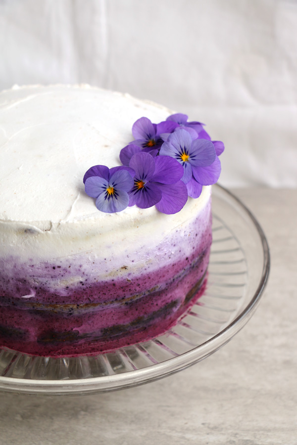 Blueberry Cake with Frosting Blueberry Cake with Frosting