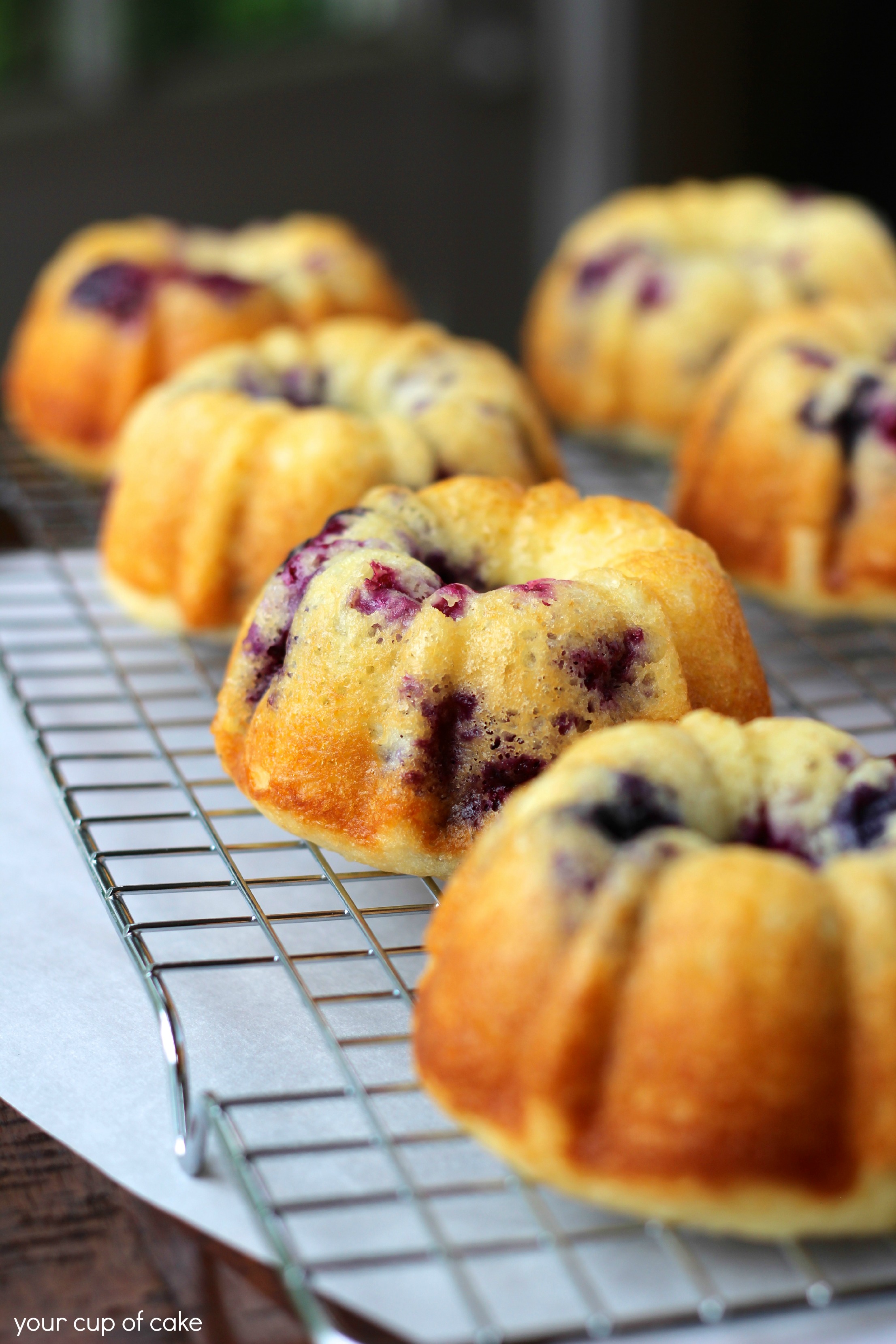 9 Photos of Blueberry Mini Bundt Cakes Chocolate Frosting