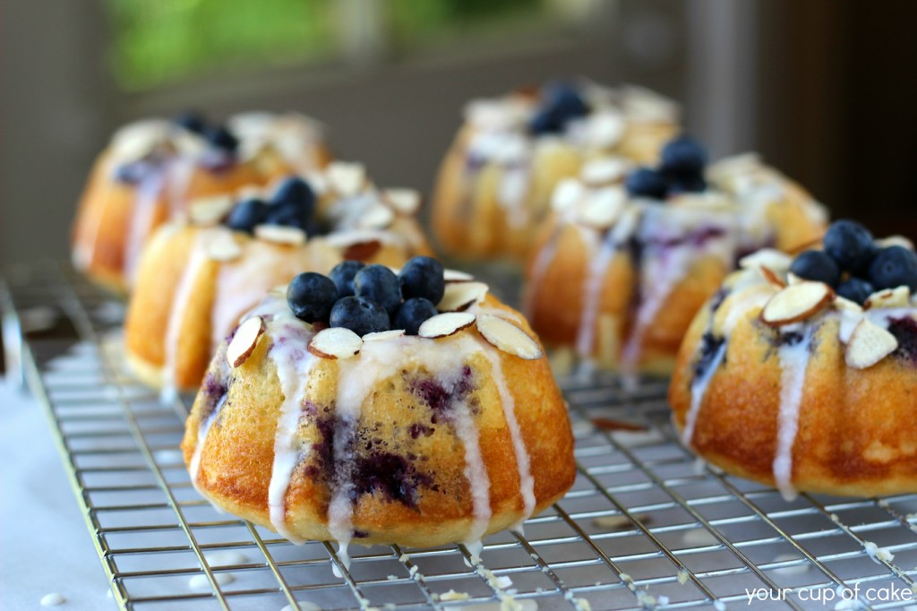 Blueberry Mini Bundt Cakes Recipe Blueberry Mini Bundt Cakes Recipe