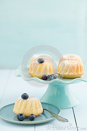 Mini Bundt Cakes Mini Bundt Cakes