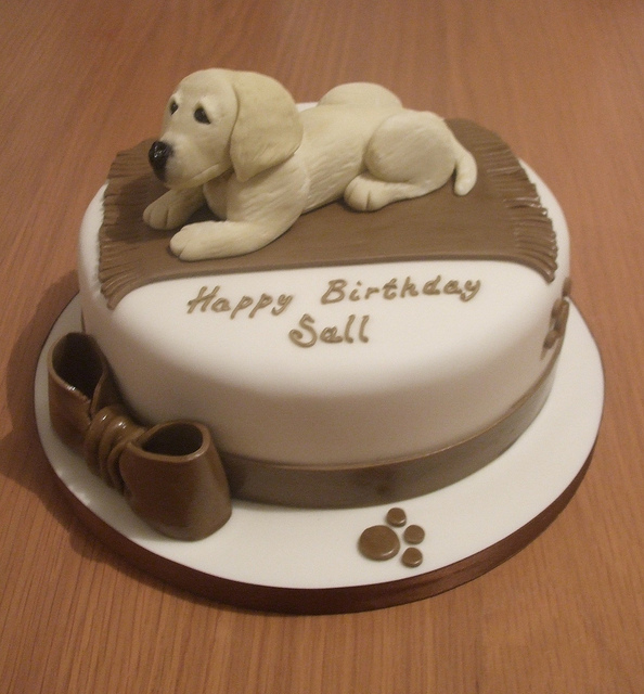 Labrador Puppy Birthday Cake Labrador Puppy Birthday Cake