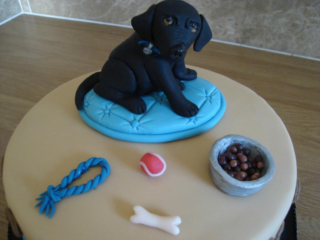 Puppy Birthday Cake Puppy Birthday Cake