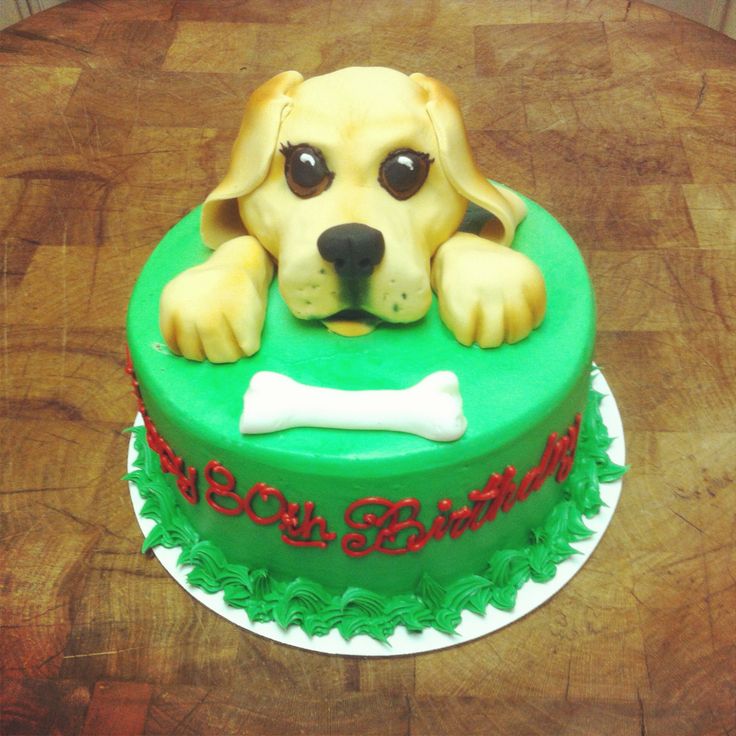 Yellow Lab Birthday Cake Yellow Lab Birthday Cake