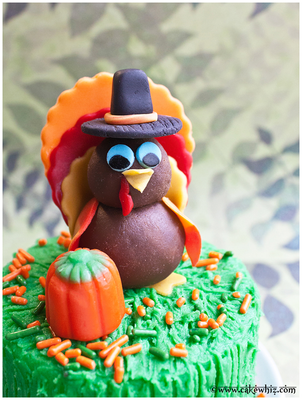 How to Make a Thanksgiving Turkey Cake How to Make a Thanksgiving Turkey Cake