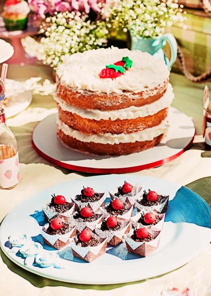 Picnic Birthday Party Ideas Picnic Birthday Party Ideas