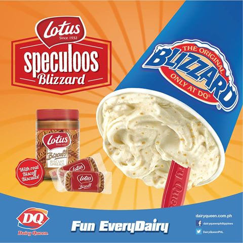 Dairy Queen Blizzard Cakes Flavors