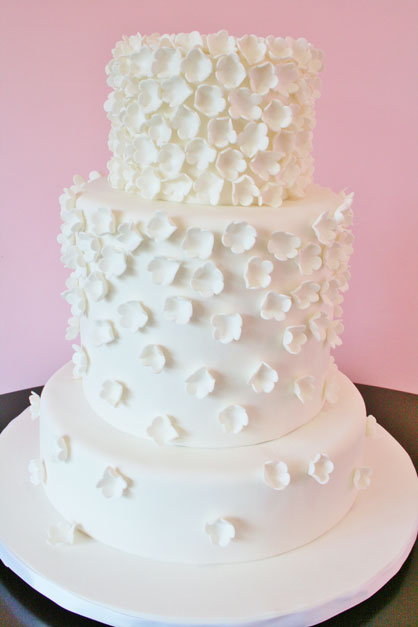 Bridal Shower Cake Bridal Shower Cake