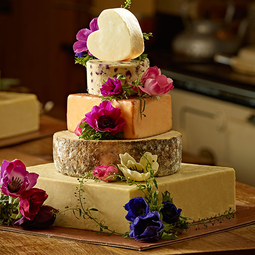 Celebration Cheese Cake Celebration Cheese Cake