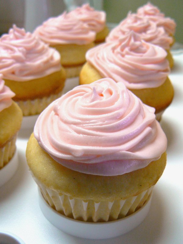 Pink Frosted Vanilla Cupcake