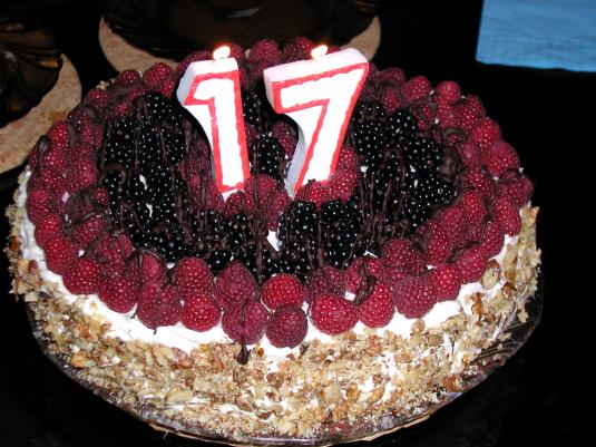 17 Year Old Birthday Cakes 17 Year Old Birthday Cakes