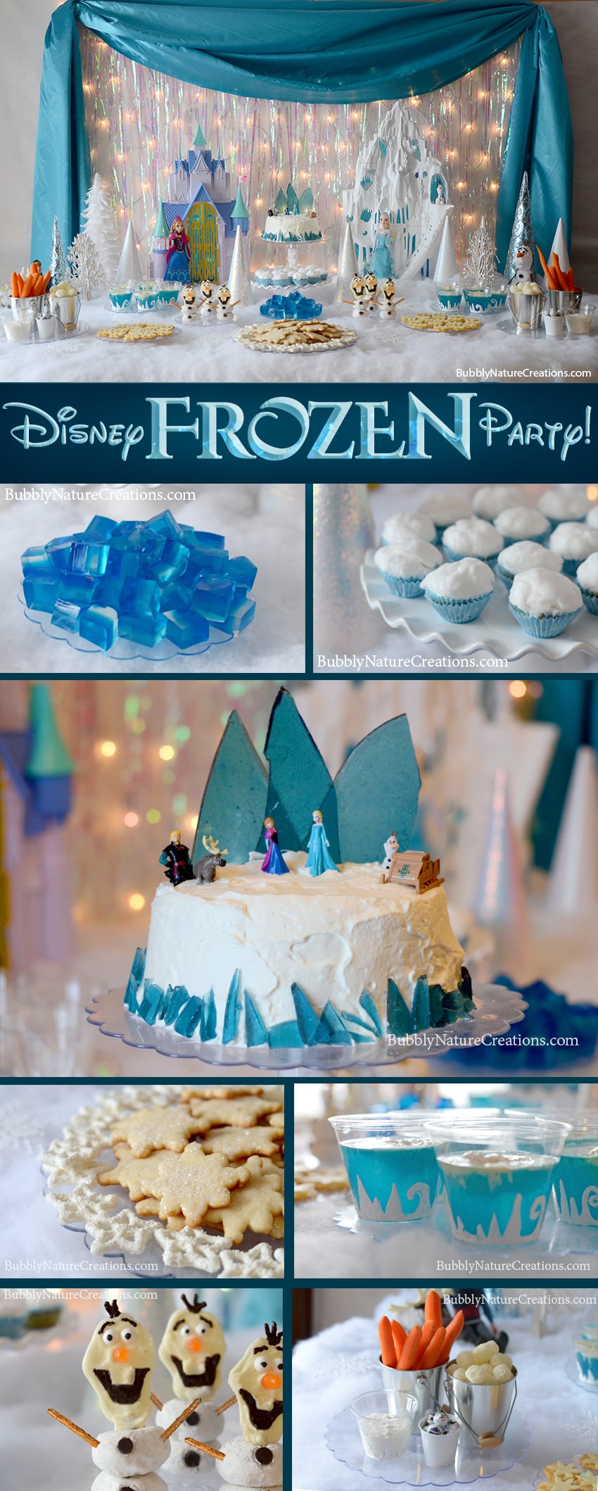 Disney Frozen Party Theme