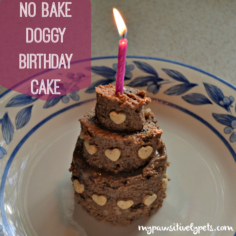 DIY Dog Birthday Cake DIY Dog Birthday Cake